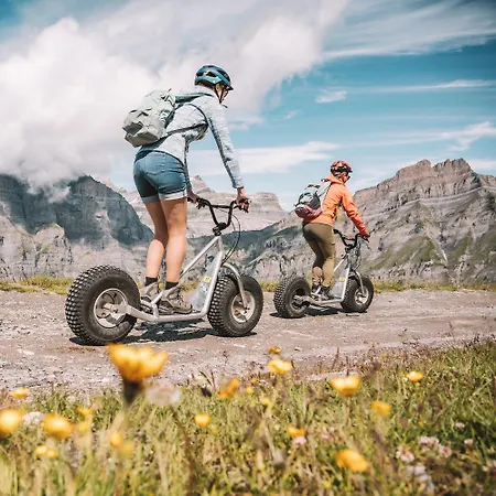 Отель Les Sources Des Alpes