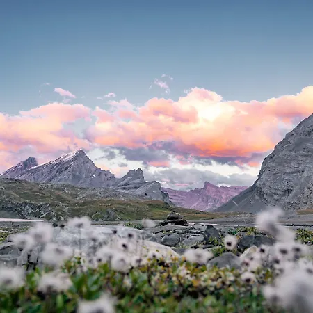 Les Sources Des Alpes