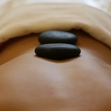 Les Sources Des Alpes ホテル 4*